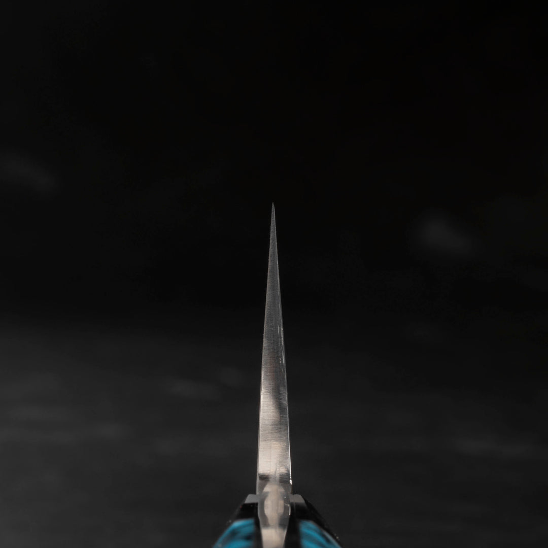 Gyuto 18 cm Takeshi Saji BTQ R-2 Black
