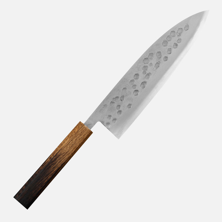 Gyuto 21 cm Motokyuuichi Aogami#2/SS