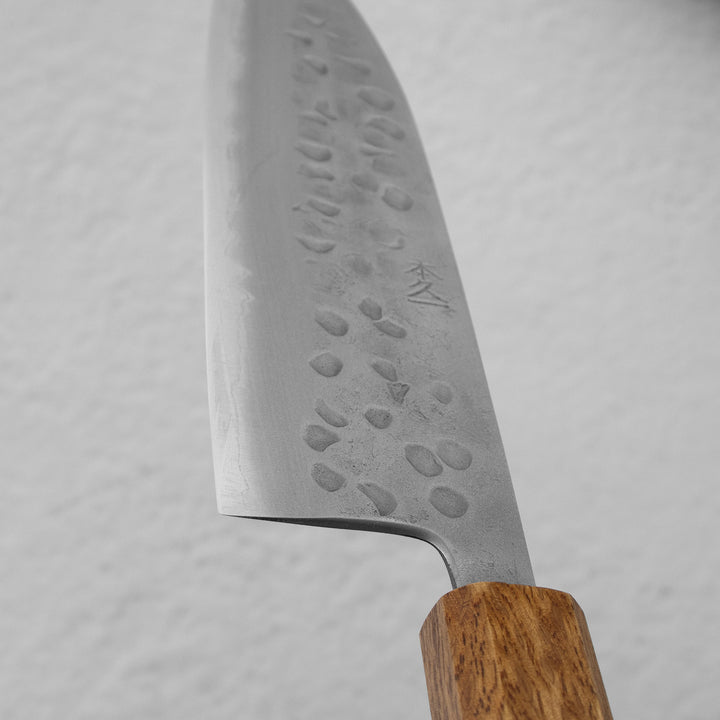 Gyuto 21 cm Motokyuuichi Aogami#2/SS