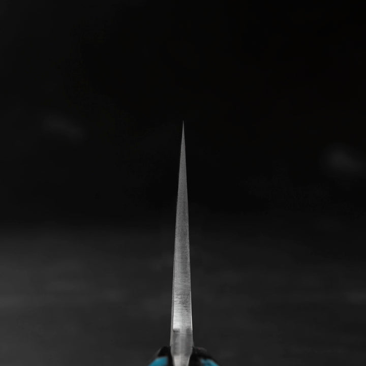 Gyuto 21 cm Takeshi Saji BTQ R-2 Black