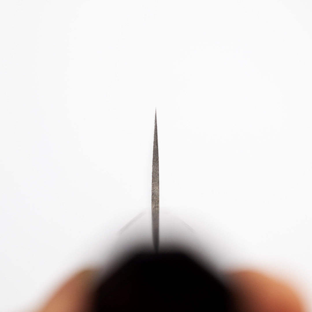 Gyuto 21 cm Takeshi Saji ME R-2 Damascus