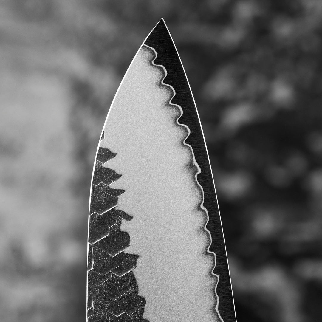 Gyuto 23 cm Nigara Hamono SG2 Migaki