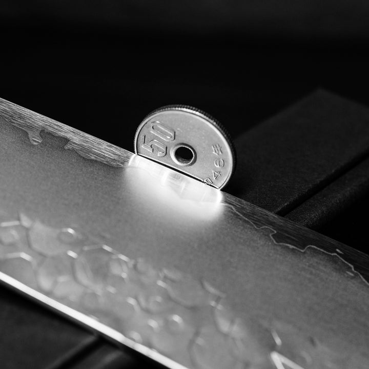Kiritsuke Gyuto 20 cm Hado Shiosai SPG2