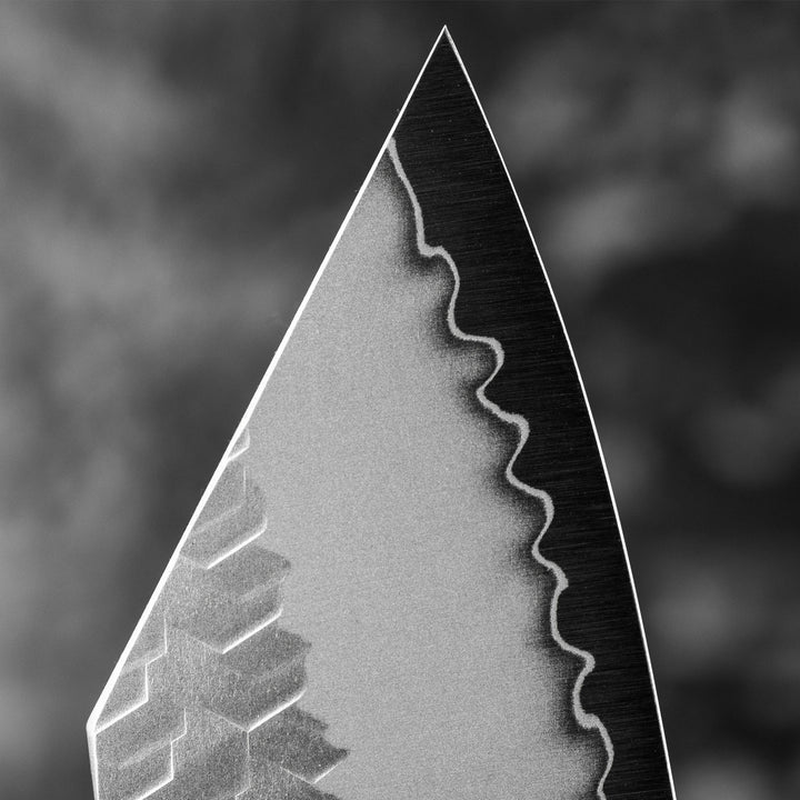 Kiritsuke Gyuto 20 cm Nigara Hamono SG2 Migaki
