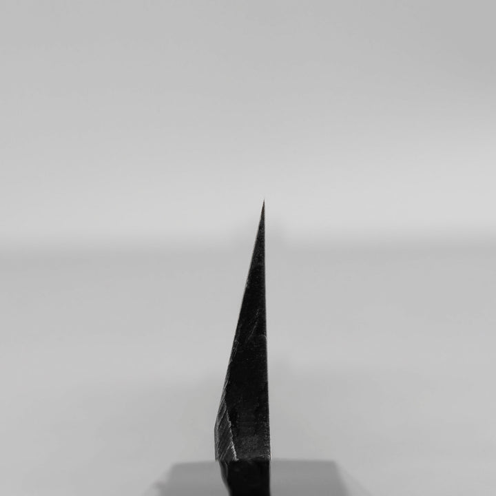 Kiritsuke Yanagiba 24 cm Hatsukokoro Shirasagi Aogami#2