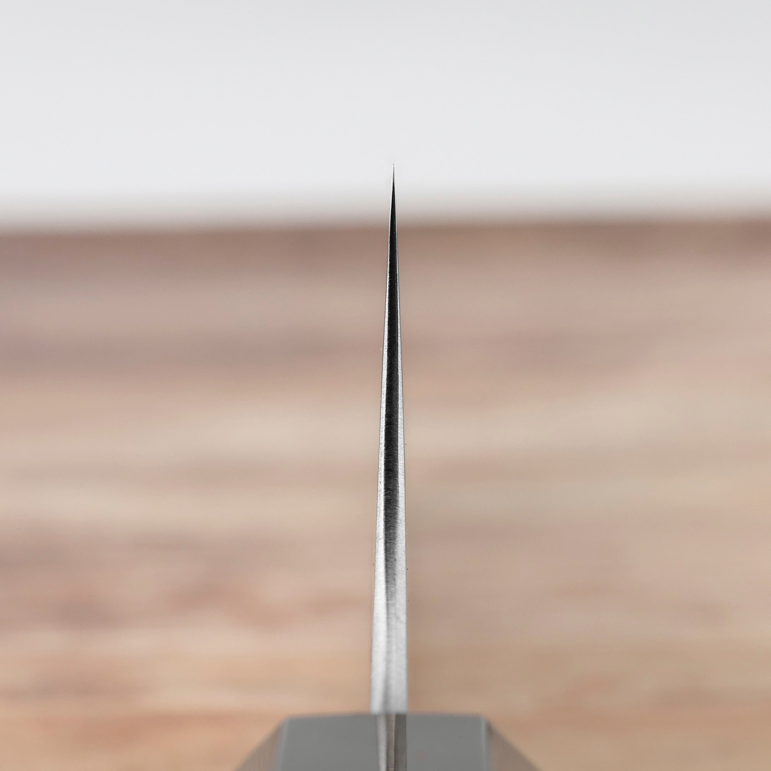 Gyuto 21 cm Hatsukokoro Hayabusa Aogami Super/SS – Japan-knives.com