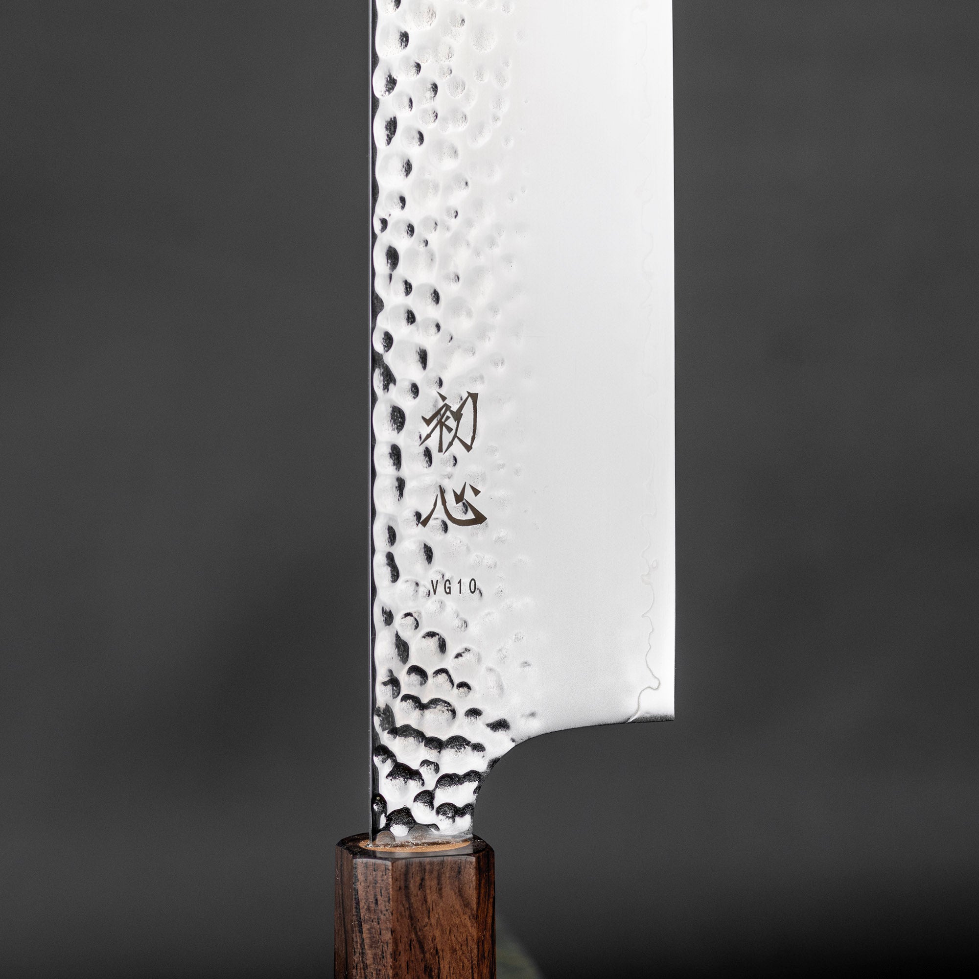 Nakiri 16,5 cm Hatsukokoro Hayabusa Tsuhime VG-10 – Japan-knives.com