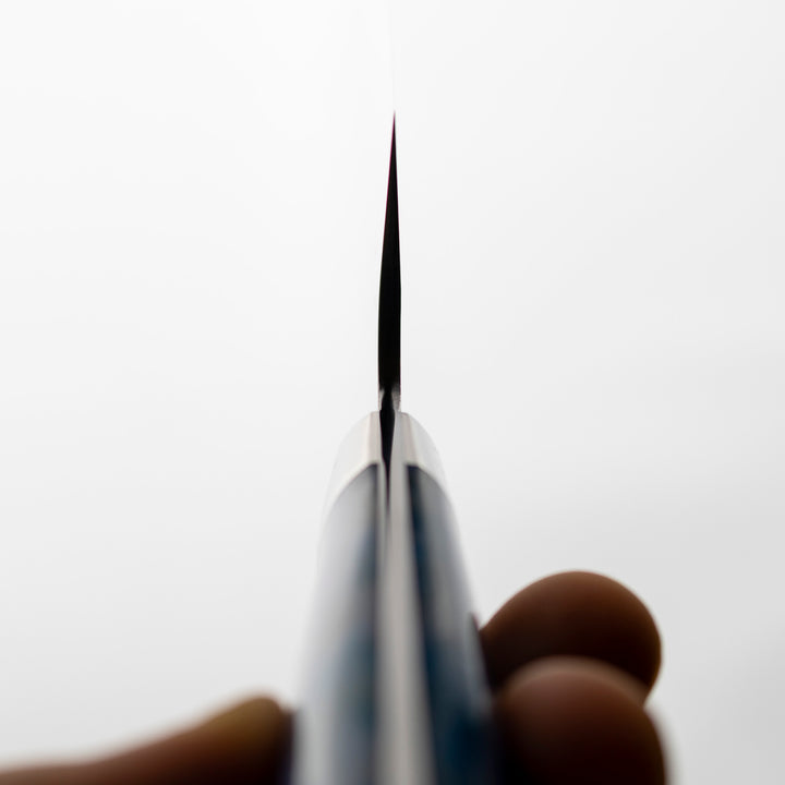 Nakiri 16 cm Takeshi Saji Blue Acrylic STRIX
