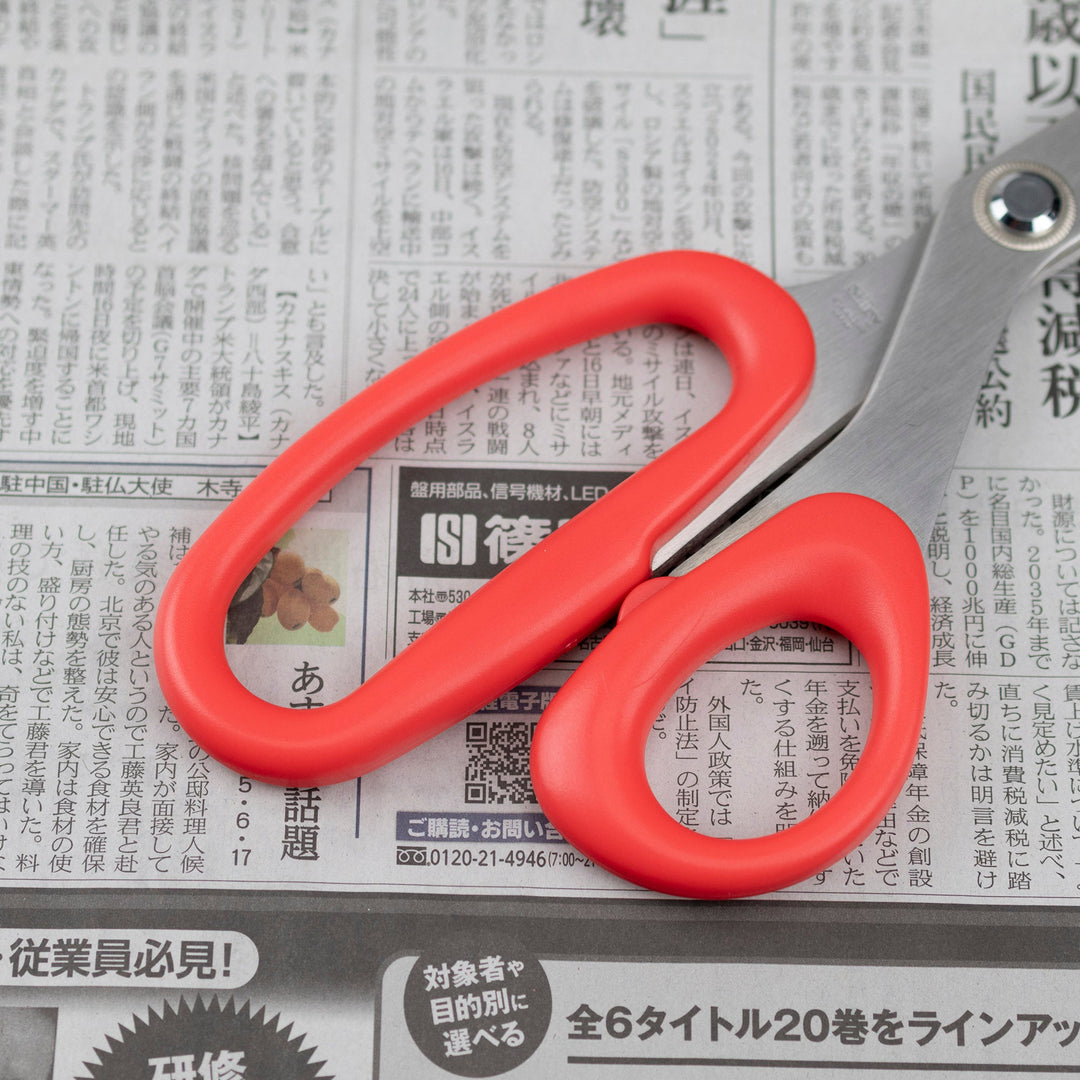 Fishing scissors for cutting nets 270 mm Silky NDS-270A
