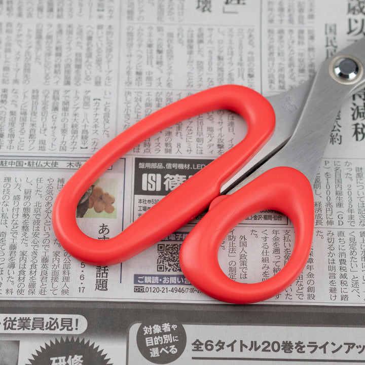 Fishing scissors for cutting nets 270 mm Silky NDS-270A