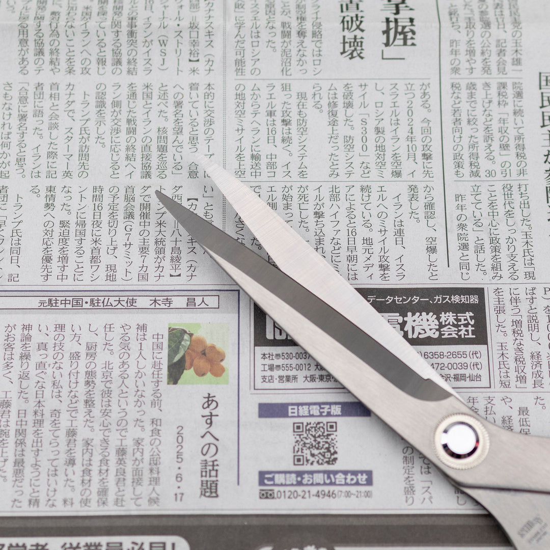 Fishing scissors for cutting nets 270 mm Silky NDS-270A