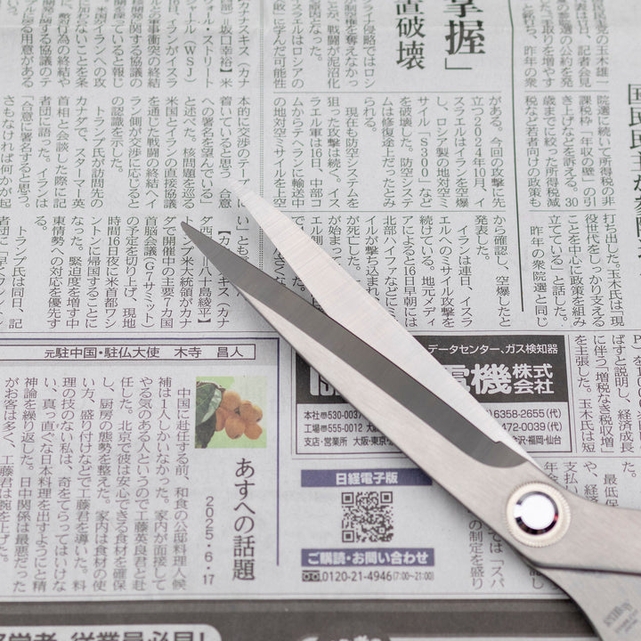 Fishing scissors for cutting nets 270 mm Silky NDS-270A