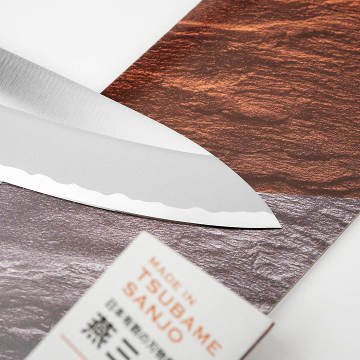 Gyuto 18 cm Fujicut #2000 MV