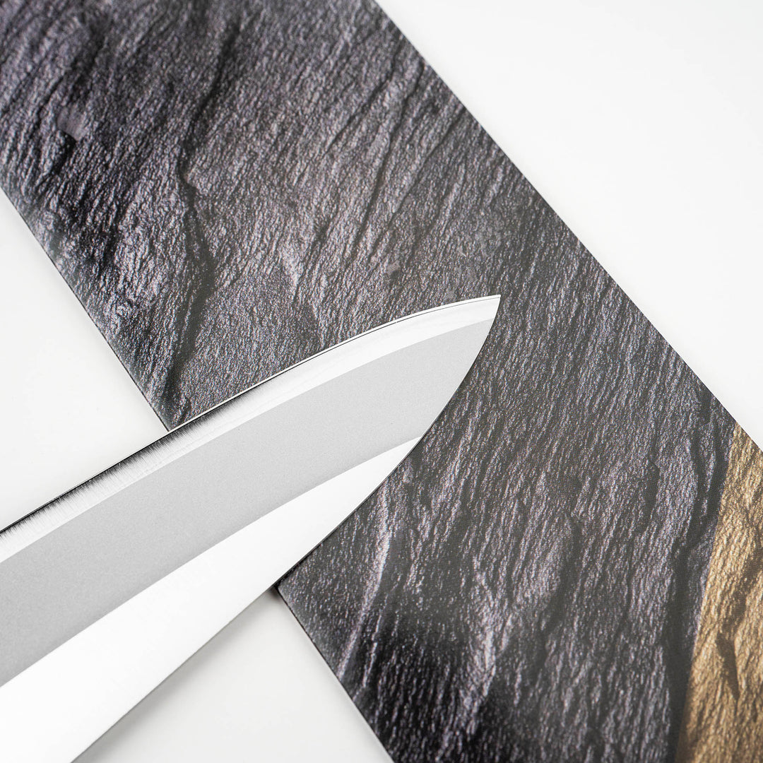 Gyuto 18 cm Fujicut #6000 MV