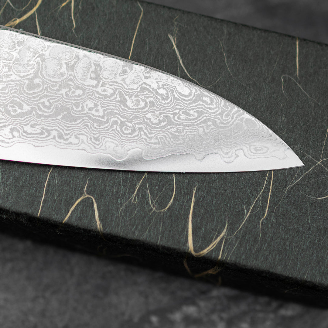 Gyuto 21 cm Hatsukokoro Hayabusa Damascus VG-10