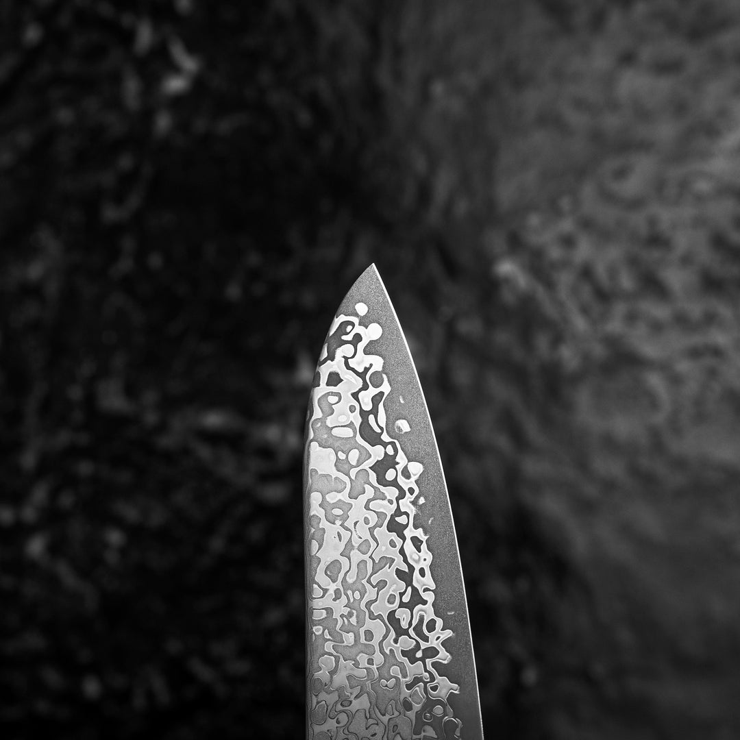 Gyuto 19,5 cm Hatsukokoro Hikari Kurozame Damascus SLD