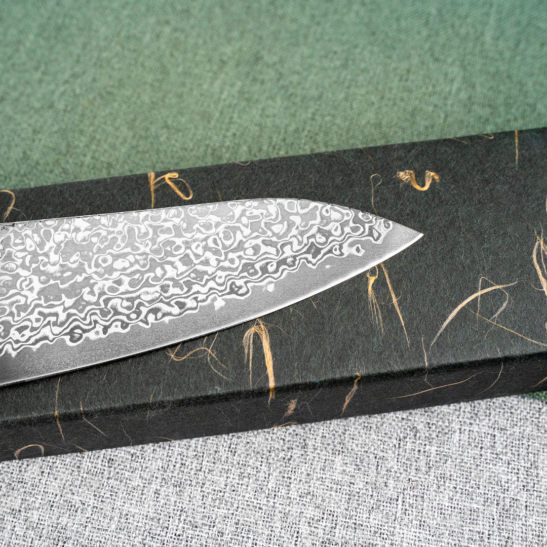 Gyuto 21 cm Hatsukokoro Hikari Kurozame Damascus SLD