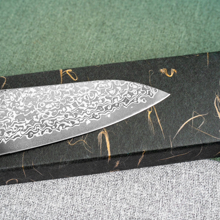 Gyuto 21 cm Hatsukokoro Hikari Kurozame Damascus SLD