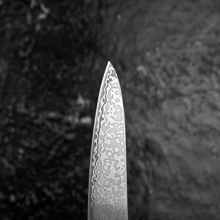 Petty 13 cm Hatsukokoro Hikari Kurozame Damascus SLD