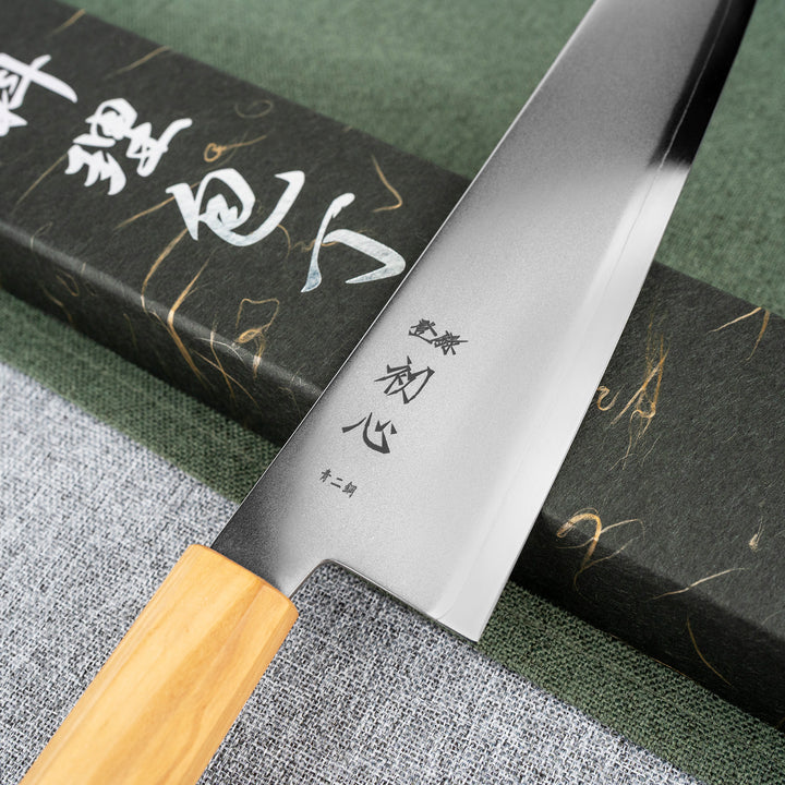 Kiritsuke Gyuto 24 cm Hatsukokoro Kaijin Aogami#2/SS