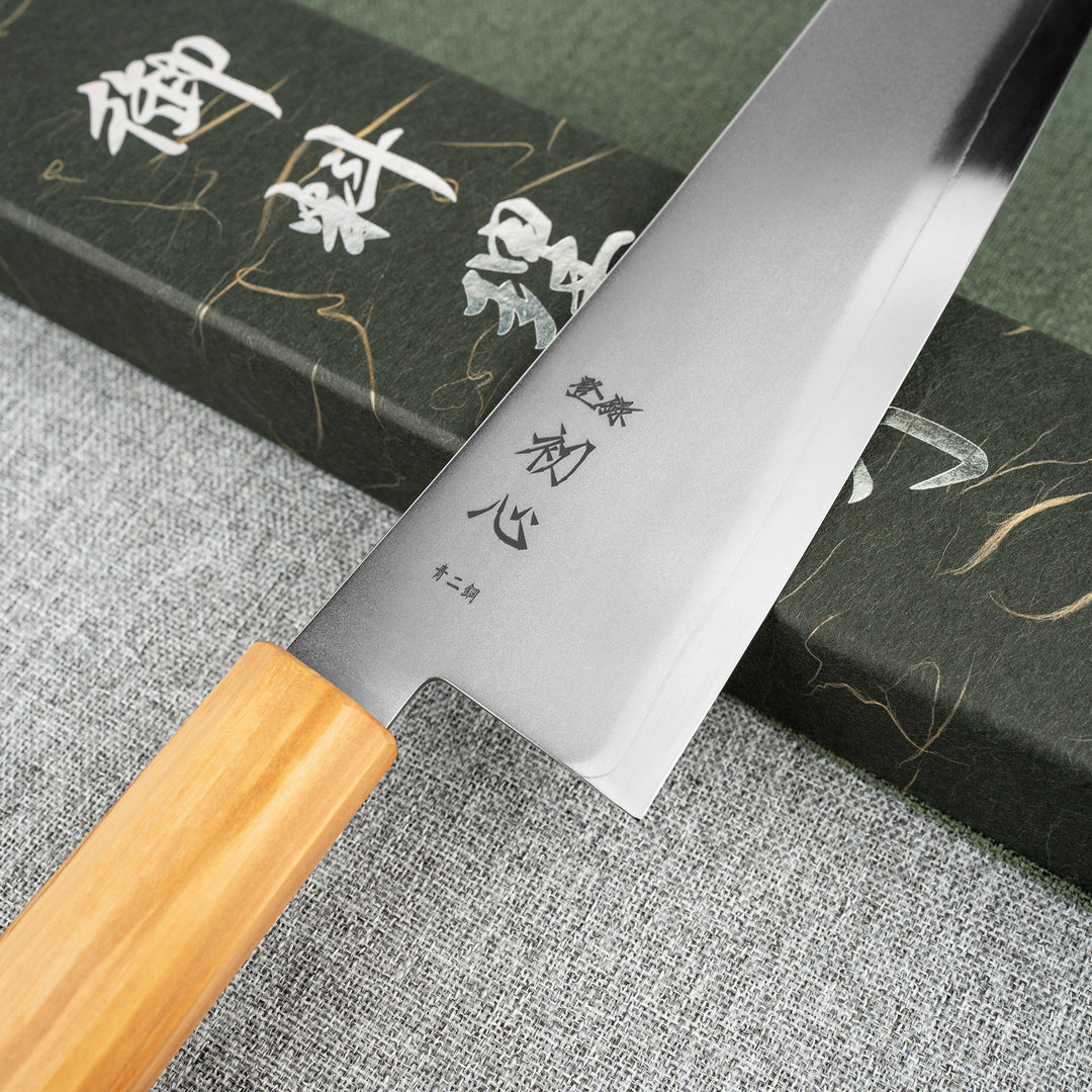 Gyuto 24 cm Hatsukokoro Kaijin Aogami#2/SS