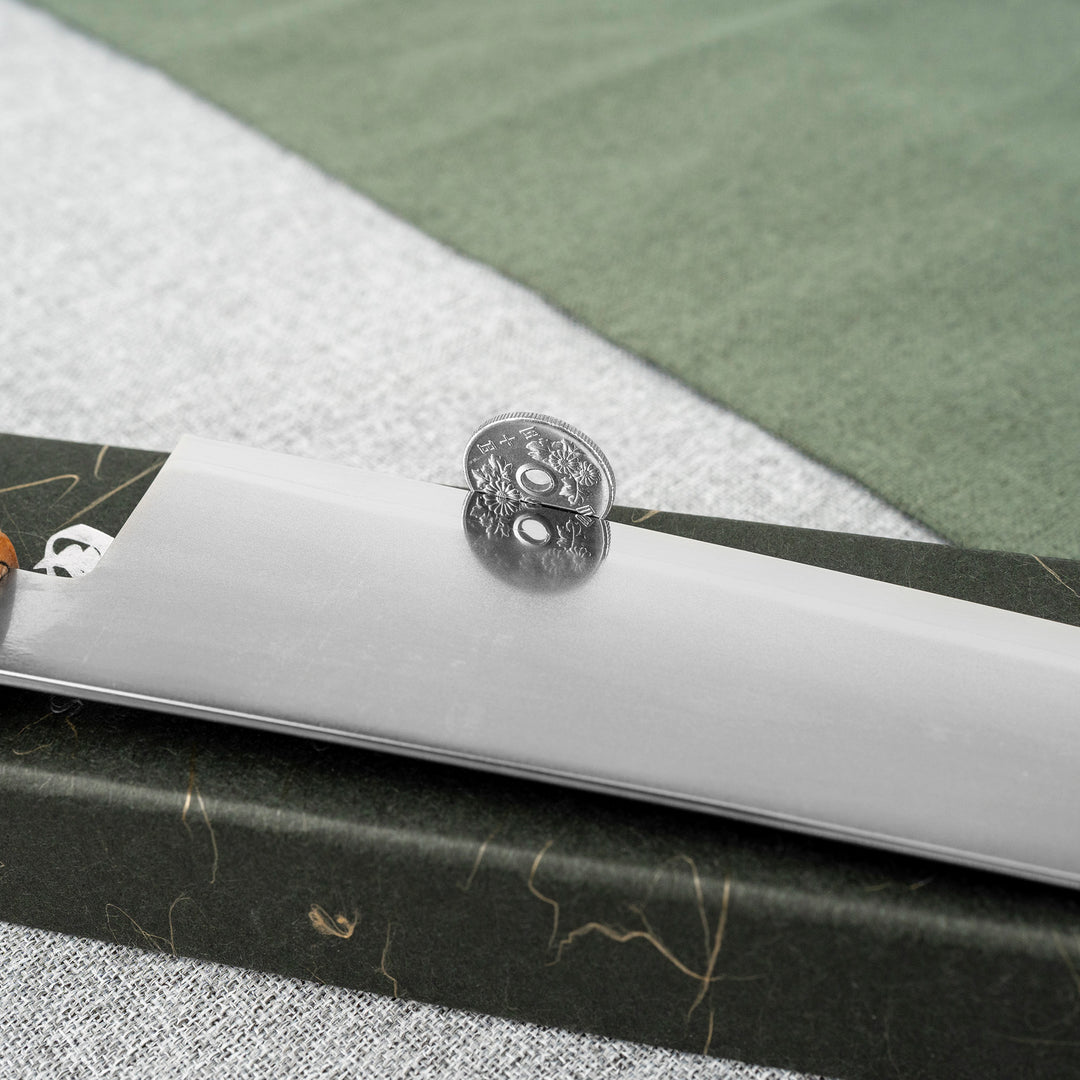 Gyuto 24 cm Hatsukokoro Kaijin Aogami#2/SS