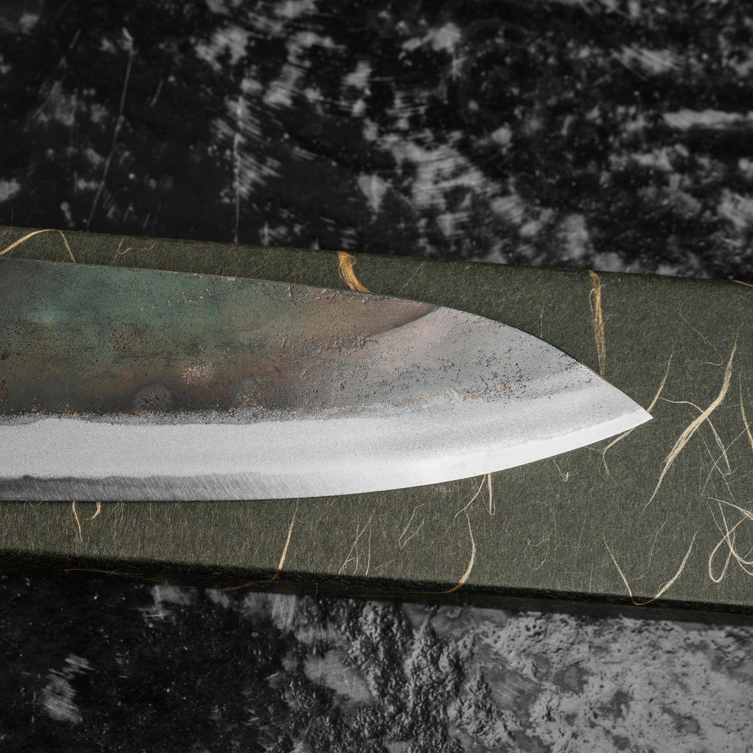 Gyuto 21 cm Hatsukokoro Kokugei Aogami#1/Iron