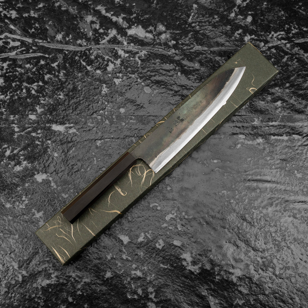 Gyuto 21 cm Hatsukokoro Kokugei Aogami#1/Iron