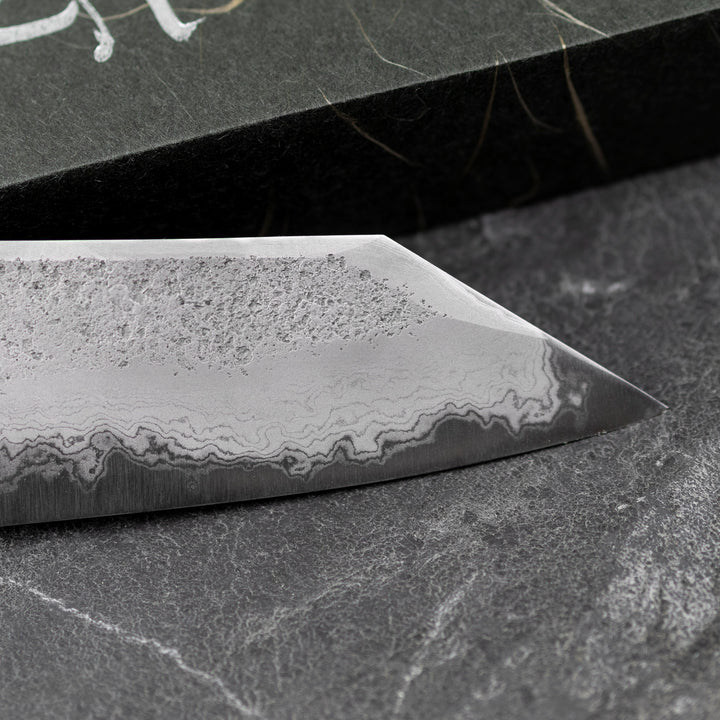 Kiritsuke Gyuto 23 cm Hatsukokoro Ryusui Aogami#2/Iron