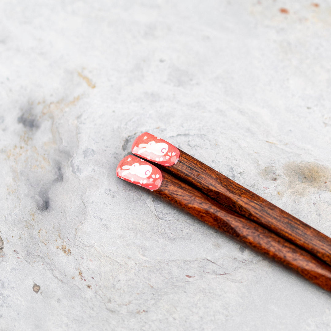 Kawai Japanese Sushi Chopsticks - Hanausagi Pink