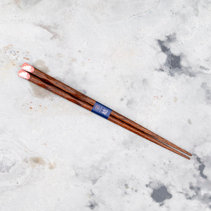 Kawai Japanese Sushi Chopsticks - Hanausagi Pink