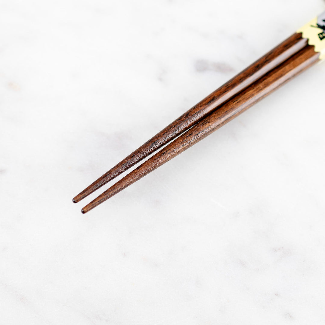 Kawai Japanese Sushi Chopsticks - Kanshitsukoshi Red