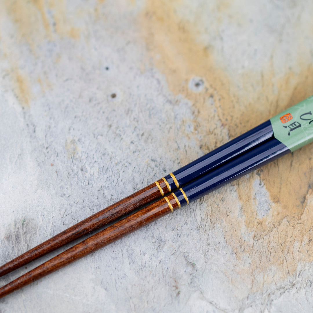 Kawai Japanese Sushi Chopsticks - Usagi chirashi Kai Navy