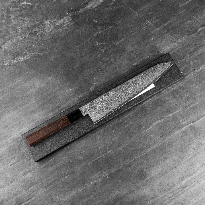 Gyuto 24 cm Sakai Takayuki Ginga ZA-18