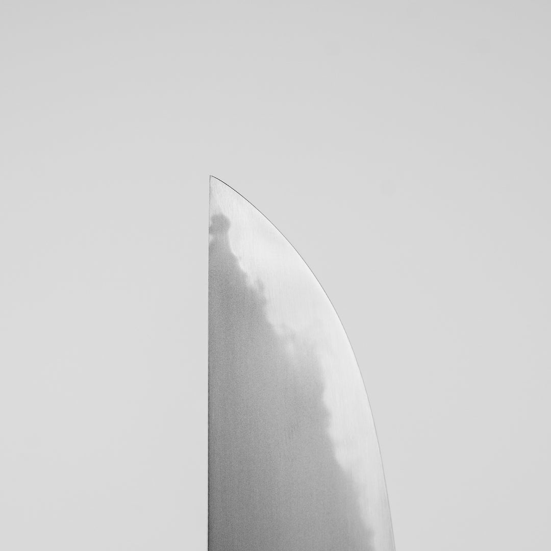 Gyuto 24 cm Sakai Takayuki Homura Kogetsu Aogami#2/Iron