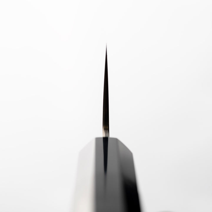 Gyuto 24 cm Shoichi Hashimoto Waterase Aogami#2 + Shirogami#2 Coreless