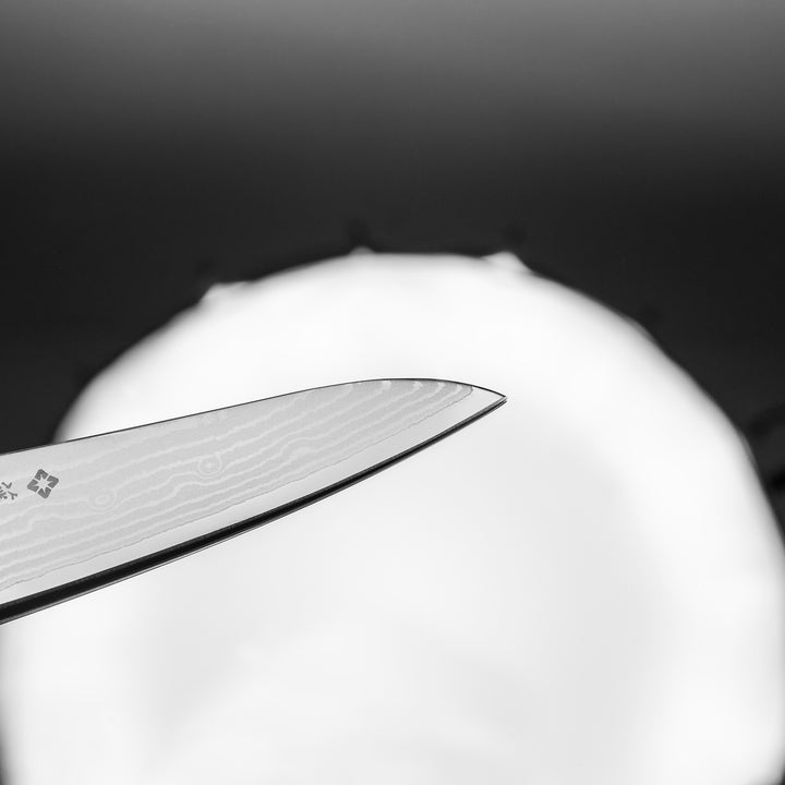 Petty 13 cm Tojiro Ouran Damascus VG-10
