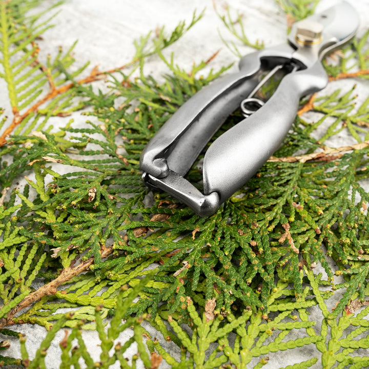 Japanese Stainless Steel Symmetrical Pruning Shears 16,5 cm Toyama Hamono