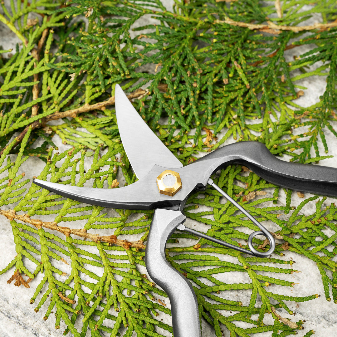 Japanese Stainless Steel Asymmetrical All-Purpose Pruning Shears 18 cm Toyama Hamono