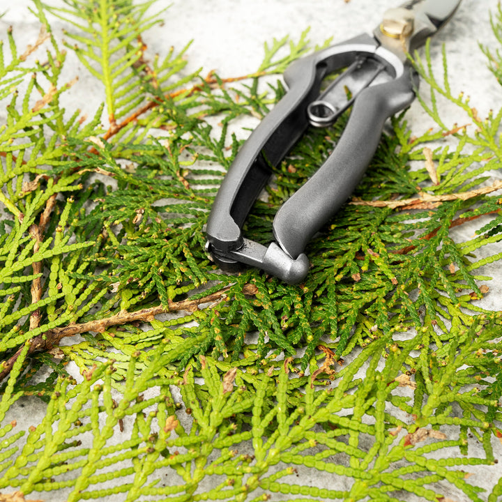 Japanese Stainless Steel Asymmetrical All-Purpose Pruning Shears 18 cm Toyama Hamono