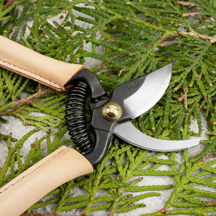 Japanese Cream Carbon Mini Pruning Shears 14 cm Toyama Hamono