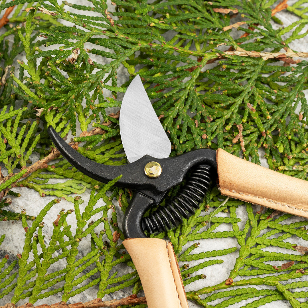 Japanese Cream Carbon Mini Pruning Shears 14 cm Toyama Hamono