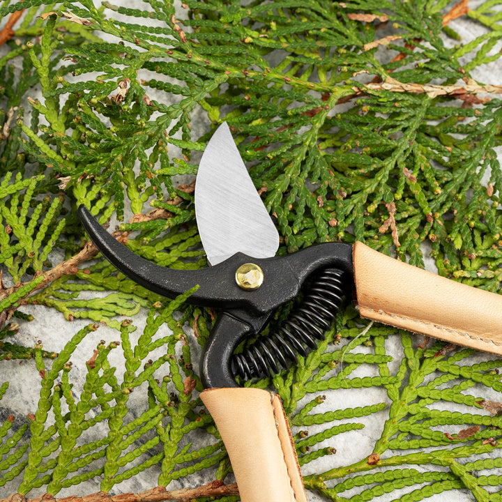 Japanese Cream Carbon Mini Pruning Shears 14 cm Toyama Hamono