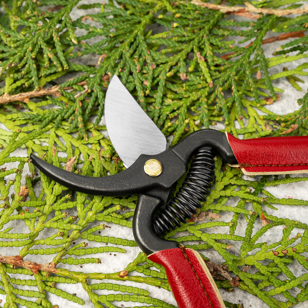 Japanese Red Carbon Mini Pruning Shears 14 cm Toyama Hamono
