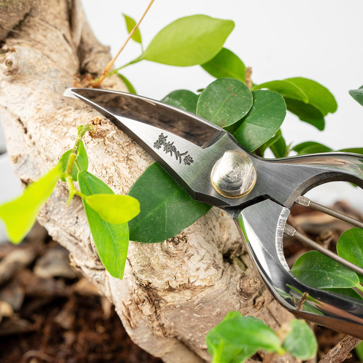 Japanese Carbon Pruning Shears 19 cm Toyama Hamono