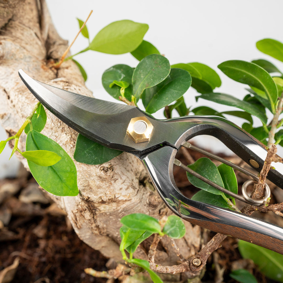 Japanese Carbon Pruning Shears 19 cm Toyama Hamono