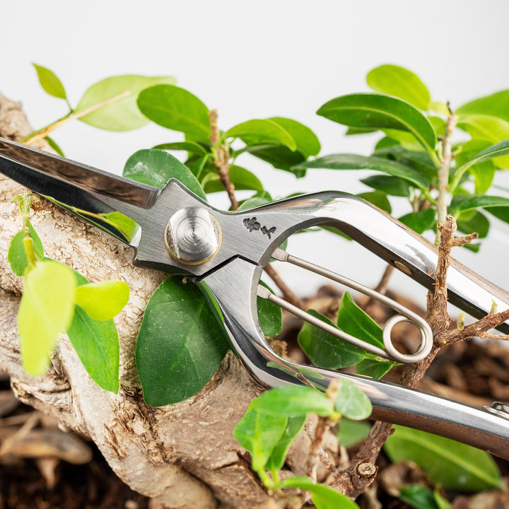 Japanese Carbon Pruning Shears 20 cm Toyama Hamono