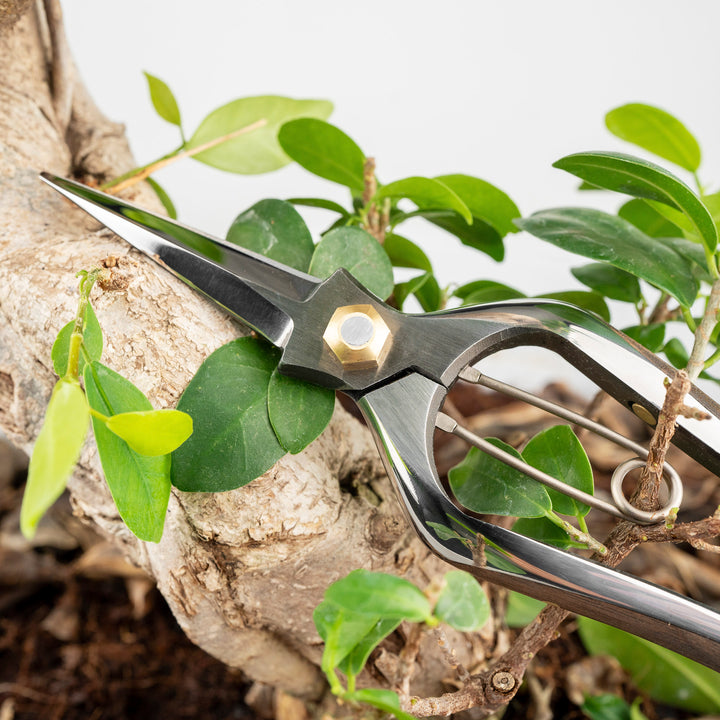 Japanese Carbon Pruning Shears 20 cm Toyama Hamono