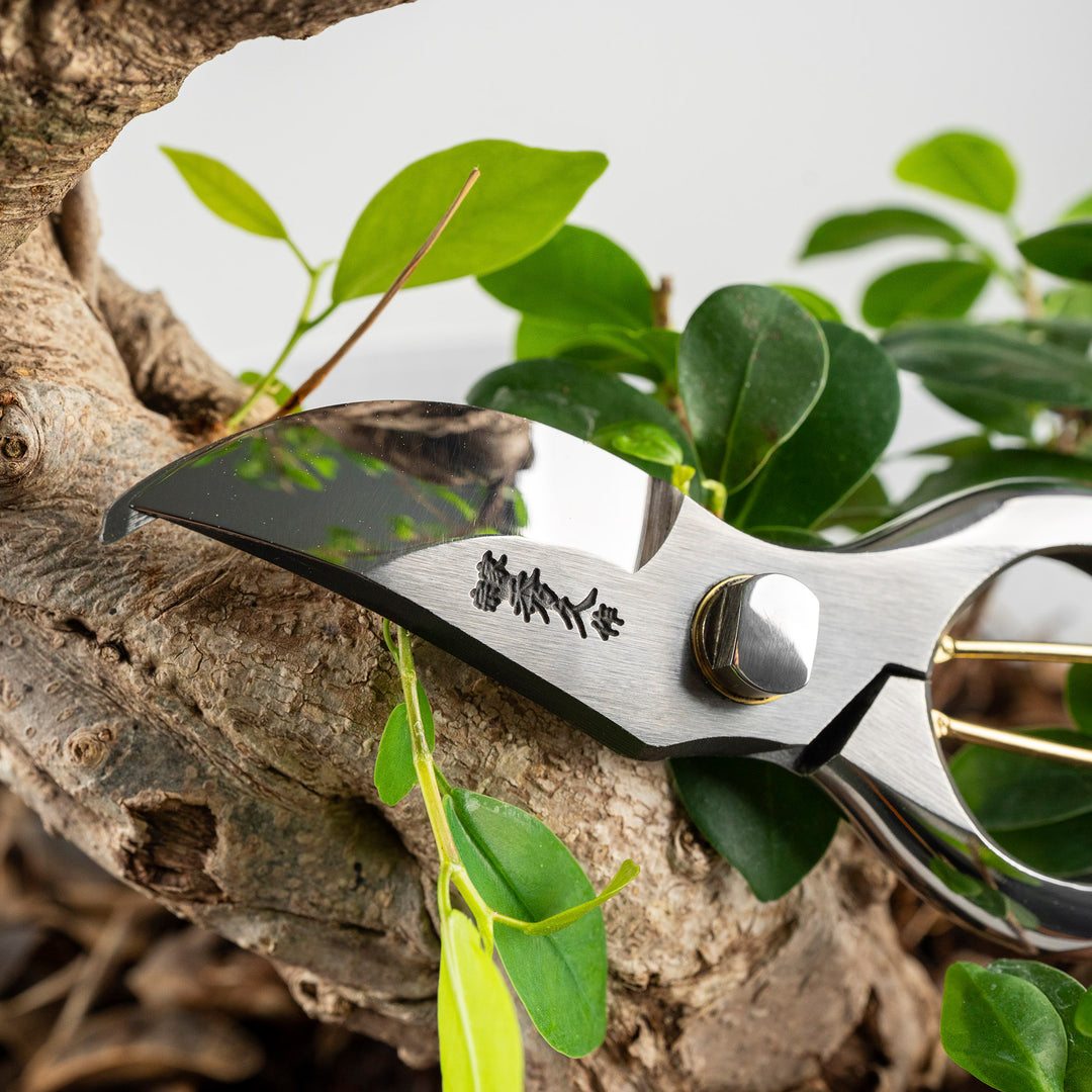 Japanese Carbon Pruning Shears 20 cm Toyama Hamono