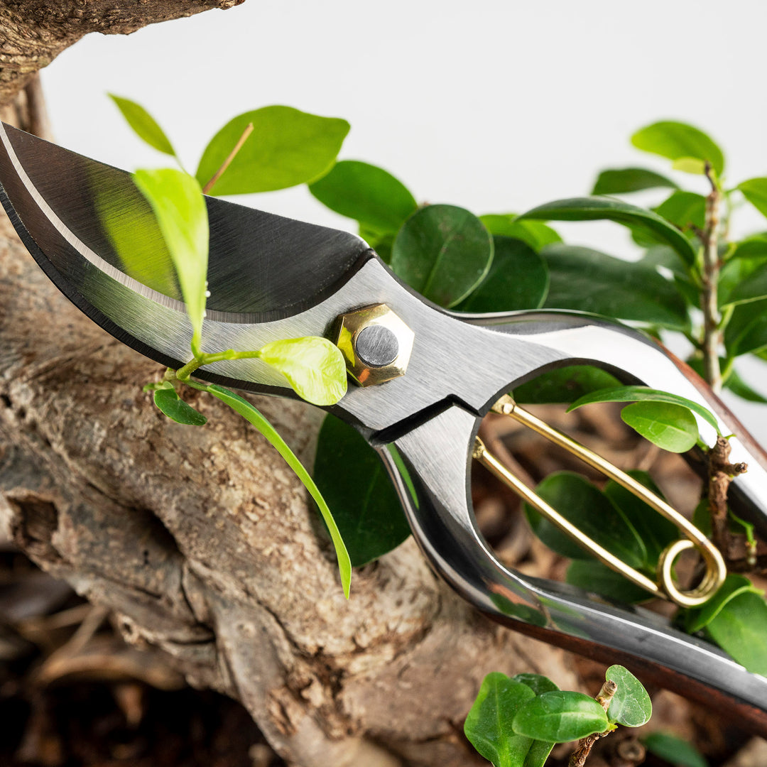Japanese Carbon Pruning Shears 20 cm Toyama Hamono